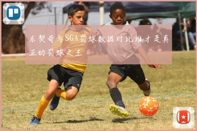 东契奇与SGA罚球数据对比谁才是真正的罚球之王