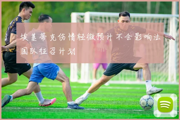埃基蒂克伤情轻微预计不会影响法国队征召计划